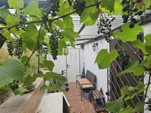 Prodej chaty, Ústí nad Labem - Církvice, 40 m2