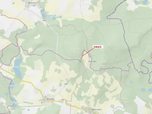 Dražba lesa, Volfířov, 48 m2