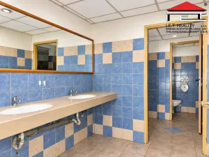 Prodej komerční nemovitosti, Pozořice, Na Městečku, 3138 m2