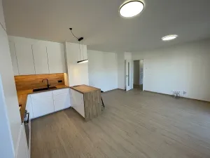 Pronájem bytu 3+kk, Praha - Řeporyje, Haenkeho, 80 m2