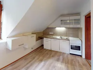 Pronájem bytu 1+1, Holčovice, 51 m2