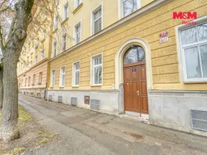 Prodej bytu 1+kk, Plzeň - Východní Předměstí, Plzenecká, 30 m2