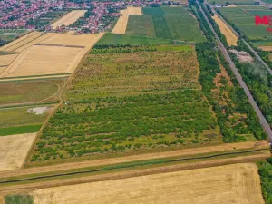 Prodej pole, Rakvice, 12442 m2