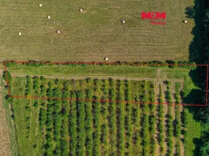 Prodej pole, Polom, 2771 m2