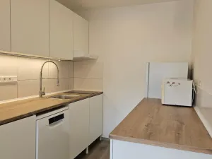 Pronájem bytu 2+kk, Praha - Řepy, Makovského, 47 m2