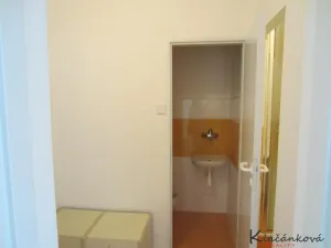 Pronájem bytu 1+kk, Zlín, Štefánikova, 45 m2