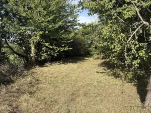 Prodej zahrady, Říčany, Do Lehovic, 2317 m2