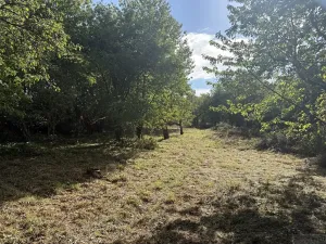 Prodej zahrady, Říčany, Do Lehovic, 2317 m2