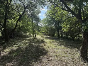 Prodej zahrady, Říčany, Do Lehovic, 2317 m2