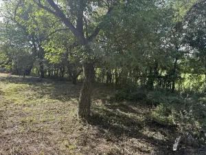 Prodej zahrady, Říčany, Do Lehovic, 2317 m2