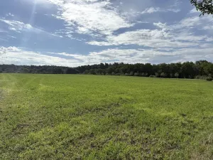 Prodej zahrady, Říčany, Do Lehovic, 2317 m2