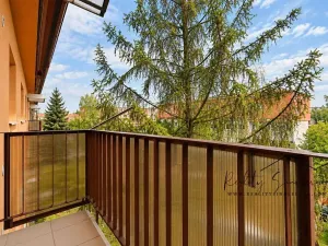 Pronájem bytu 1+1, Přerov, Petřivalského, 39 m2