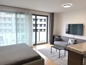 Pronájem bytu 1+kk, Praha - Žižkov, Krásova, 45 m2