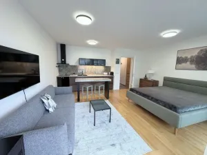 Pronájem bytu 1+kk, Praha - Žižkov, Krásova, 45 m2