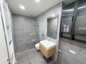 Pronájem bytu 1+kk, Praha - Žižkov, Krásova, 45 m2