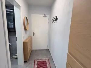 Pronájem bytu 1+kk, Praha - Žižkov, Krásova, 45 m2