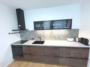 Pronájem bytu 1+kk, Praha - Žižkov, Krásova, 45 m2