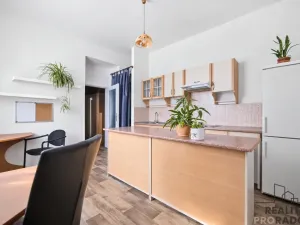 Prodej bytu 1+1, Pardubice, Čechovo nábřeží, 42 m2