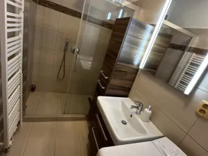 Pronájem bytu 2+1, Opava - Předměstí, Na Rybníčku, 50 m2