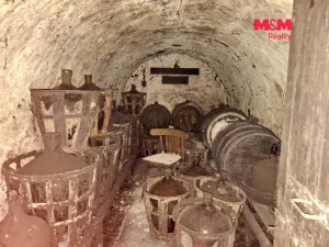 Prodej vinného sklepa, Vlkoš, 111 m2