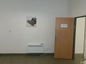 Pronájem skladu, Brno, Cejl, 464 m2
