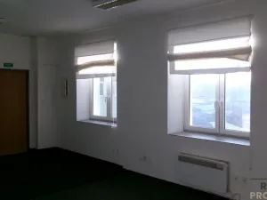 Pronájem kanceláře, Brno, Cejl, 262 m2