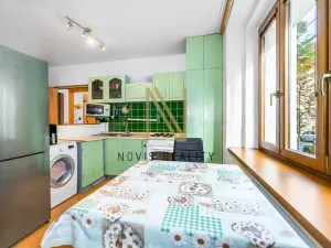 Pronájem bytu 1+kk, Plzeň, Guldenerova, 42 m2