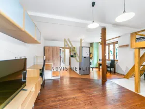 Pronájem bytu 1+kk, Plzeň, Guldenerova, 42 m2