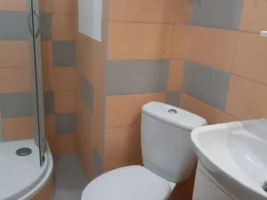 Pronájem bytu 1+kk, Olomouc - Lazce, Synkova, 30 m2