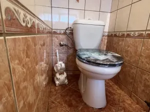 Prodej chalupy, Červený Kostelec - Horní Kostelec, 65 m2