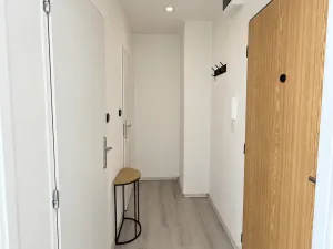 Pronájem bytu 1+kk, Ostrava, Petra Křičky, 25 m2