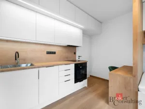 Pronájem bytu 1+kk, Brno - Zábrdovice, Bratislavská, 24 m2