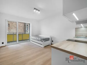 Pronájem bytu 1+kk, Brno - Zábrdovice, Bratislavská, 23 m2