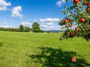 Prodej louky, Chrastava - Horní Chrastava, Frýdlantská, 7126 m2