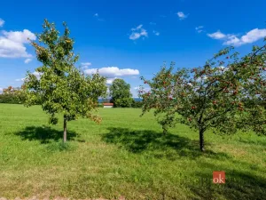 Prodej louky, Chrastava - Horní Chrastava, Frýdlantská, 7126 m2