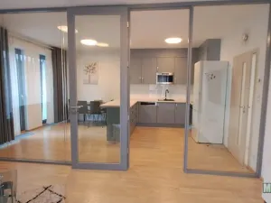 Pronájem bytu 1+kk, Praha - Žižkov, Olšanská, 79 m2
