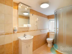 Prodej ubytování, Třeboň, Táboritská, 650 m2