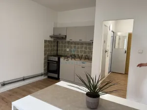 Pronájem bytu 1+1, Tachov, Želivského, 39 m2