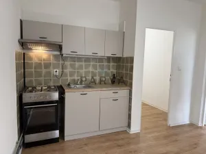 Pronájem bytu 1+1, Tachov, Želivského, 39 m2