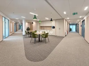 Pronájem kanceláře, Praha - Košíře, Vrchlického, 500 m2