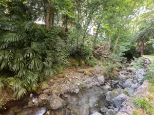Pronájem bytu 1+1, Minusio, Švýcarsko, 30 m2