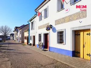 Prodej chalupy, Bořetice, 240 m2