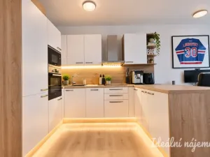 Pronájem bytu 2+kk, Brno, U Červeného mlýna, 59 m2