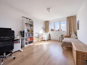 Prodej bytu 3+1, Litovel, Gemerská, 72 m2