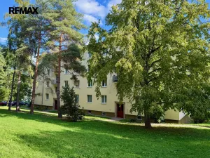 Pronájem bytu 2+1, Praha - Žižkov, Buková, 51 m2