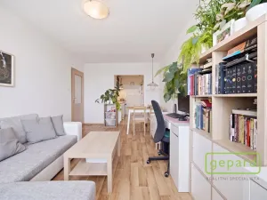 Prodej bytu 2+kk, Praha - Komořany, Za sídlištěm, 47 m2