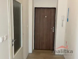 Pronájem bytu 1+1, Opava - Předměstí, Rybářská, 38 m2