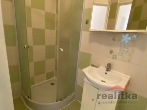 Pronájem bytu 1+1, Opava - Předměstí, Rybářská, 38 m2