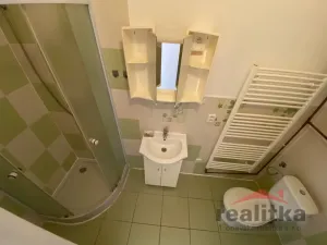 Pronájem bytu 1+1, Opava - Předměstí, Rybářská, 38 m2