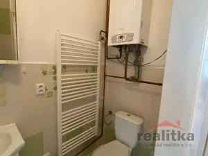 Pronájem bytu 1+1, Opava - Předměstí, Rybářská, 37 m2